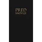 Srdan Mrsic: Predsnovlje