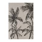 KM Home Bahamas Utomhusmatta Palm 160x230 Charcoal 13097