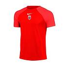 Nike Tränings T-Shirt Dri-FIT Academy Pro Punainen/Punainen/Vit adult DH9225-657