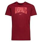 Nike Liverpool T-Shirt Röd Barn adult DN9768-608