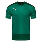 Puma teamGOAL 23 T-Shirt (Herr)