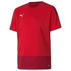 Puma Tränings T-Shirt teamGOAL 23 Röd/Röd Barn kids 656569 01