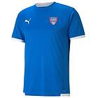 Puma Tränings T-Shirt teamLIGA Blå/Vit adult 704917 02