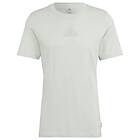 Adidas T-Shirt Studio Lounge Grön adult HJ9809