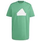 Adidas Future Icons Badge of Sport Tee Grön adult IC3715