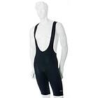 XLC Tr-s02 Bib Shorts Svart S Man