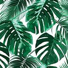 Living Walls Fototapet Design DD118572