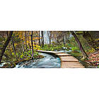 Idealdecor Tapet Path into the Forest 436