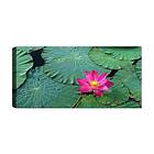 Canvastavla YTY Floral & Botanical Flerfärgad 120x50 cm 451ERN1818