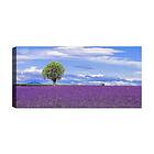 Canvastavla YTY Floral & Botanical Flerfärgad 120x50 cm 451ERN1635