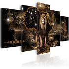 Arkiio Akrylglastavla Golden Lion Foto på akryl [Glass] 100x50 A3-Acrylglasbild353