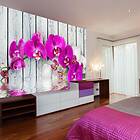 Arkiio Fototapet Violet Orchids With Water Re orchids with water reflexion 250x193 A3-XLFTNT0539