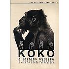 Koko: A Talking Gorilla - Criterion Collection (US) (DVD)