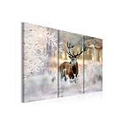 Tavla Deer In The Cold 90x60 sp. z o. TM-N7207-DK