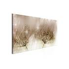 Tavla Drops Of Dew 1 Part Brown Wide 100x45 sp. z o. TM-N7252-DK
