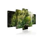 Tavla The Beauty Of Forest 200x100 sp. z o. TM-N3777-DKX