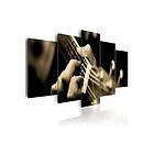 Tavla Klassisk Gitarr 200x100 sp. z o. TM-N1512-DKX