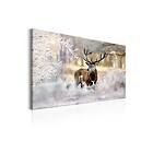 Tavla Deer In The Cold 120x80 sp. z o. TM-N7055-DK