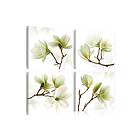 Tavla Admiration Of Magnolia 80x80 sp. z o. TM-N3860-80x80