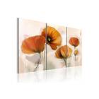 Tavla Artistic Poppies Triptych 120x80 sp. z o. TM-N2693-DKX