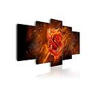 Tavla Flaming Rose 100x50 sp. z o. TM-N3918