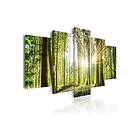 Tavla Forest Kingdom 200x100 sp. z o. TM-N4395-DKX