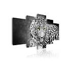 Tavla Leopard Black&White 100x50 sp. z o. TM-N3597