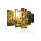 Tavla Magic Of Forest 100x50 sp. z o. TM-N5858