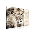 Tavla The King Of Beasts 3 Parts Beige 120x80 sp. z o. TM-N7951-DKX