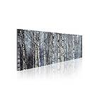 Tavla Vita Björkar 120x40 sp. z o. TM-N1220