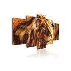 Tavla Beautiful Lion 200x100 sp. z o. TM-N6071-DKX