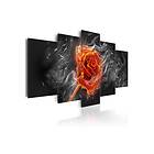 Tavla Fiery Rose 100x50 sp. z o. TM-N3919