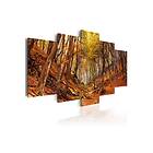 Tavla Orange Autumn 200x100 sp. z o. TM-N1565-DKX