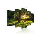 Tavla The Forest Reflection 200x100 sp. z o. TM-N3663-DKX