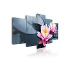Tavla Waterlily Dream 200x100 sp. z o. TM-N1492-DKX