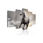 Tavla Fancy Gallop 5 Pieces 100x50 sp. z o. TM-N2707