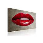 Tavla Female Lips 120x80 sp. z o. TM-N2843-DKX