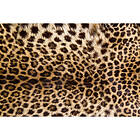 Dimex Tapet Leopard Non Woven 375x250 cm MS-5-0184