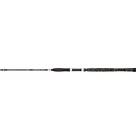 Penn Legion Silver Spin Catfish Rod Svart 2,10 m / 40-160g