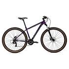 Coluer Ascent 293 29"