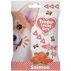 Duvo Tender Loving Care Soft Snack Salmon 100g