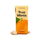 True Gum Mints Orange 13g