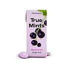 True Gum Mints Blackcurrant 13g