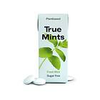 True Gum Mints Fresh Mint 13g