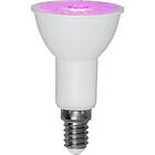 Star Trading LED-lampa E14 PAR16 PlantLigh LEDlampaE14PAR16 Plant Light 357-39