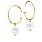 Izabel Camille Passion Pearl Earrings Guld