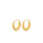 Pernille Corydon Coastline Earrings Guld