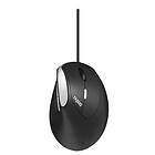 Rapoo Ev200 Ergonomic Optical Mouse