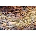 Hay Dimex Fototapet Abstract I Non Woven 375x250 cm MS-5-0381