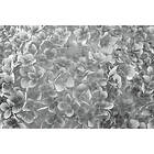 Abstract Dimex Fototapet Apple Tree III Non Woven 375x250 cm MS-5-0356